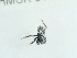  ( - NHMUK014537184)  @11 [ ] Unspecified (default): All Rights Reserved  Unspecified Unspecified