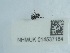  ( - NHMUK014537184)  @11 [ ] Unspecified (default): All Rights Reserved  Unspecified Unspecified