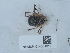  ( - NHMUK014561619)  @11 [ ] Unspecified (default): All Rights Reserved  Unspecified Unspecified