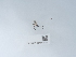  ( - NHMUK014562125)  @11 [ ] Unspecified (default): All Rights Reserved  Unspecified Unspecified