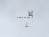  ( - NHMUK014562127)  @11 [ ] Unspecified (default): All Rights Reserved  Unspecified Unspecified