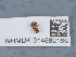  ( - NHMUK014562169)  @11 [ ] Unspecified (default): All Rights Reserved  Unspecified Unspecified