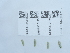  ( - NHMUK014562572)  @11 [ ] Unspecified (default): All Rights Reserved  Unspecified Unspecified