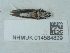  ( - NHMUK014584829)  @11 [ ] Unspecified (default): All Rights Reserved  Unspecified Unspecified
