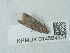  ( - NHMUK014584831)  @11 [ ] Unspecified (default): All Rights Reserved  Unspecified Unspecified