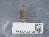  ( - NHMUK014584867)  @11 [ ] Unspecified (default): All Rights Reserved  Unspecified Unspecified