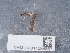  ( - NHMUK014584867)  @11 [ ] Unspecified (default): All Rights Reserved  Unspecified Unspecified