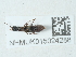  ( - NHMUK015024288)  @11 [ ] Unspecified (default): All Rights Reserved  Unspecified Unspecified