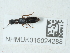  ( - NHMUK015024288)  @11 [ ] Unspecified (default): All Rights Reserved  Unspecified Unspecified