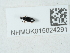  ( - NHMUK015024291)  @11 [ ] Unspecified (default): All Rights Reserved  Unspecified Unspecified