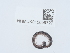  ( - NHMUK015059727)  @11 [ ] Unspecified (default): All Rights Reserved  Unspecified Unspecified