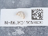  ( - NHMUK015059900)  @11 [ ] Unspecified (default): All Rights Reserved  Unspecified Unspecified