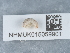  ( - NHMUK015059901)  @11 [ ] Unspecified (default): All Rights Reserved  Unspecified Unspecified