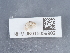  ( - NHMUK015059902)  @11 [ ] Unspecified (default): All Rights Reserved  Unspecified Unspecified