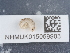  ( - NHMUK015059903)  @11 [ ] Unspecified (default): All Rights Reserved  Unspecified Unspecified