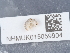  ( - NHMUK015059904)  @11 [ ] Unspecified (default): All Rights Reserved  Unspecified Unspecified