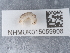  ( - NHMUK015059906)  @11 [ ] Unspecified (default): All Rights Reserved  Unspecified Unspecified
