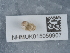  ( - NHMUK015059907)  @11 [ ] Unspecified (default): All Rights Reserved  Unspecified Unspecified