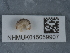  ( - NHMUK015059907)  @11 [ ] Unspecified (default): All Rights Reserved  Unspecified Unspecified