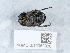  ( - NHMUK015059930)  @11 [ ] Unspecified (default): All Rights Reserved  Unspecified Unspecified