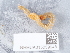  ( - NHMUK015059948)  @11 [ ] Unspecified (default): All Rights Reserved  Unspecified Unspecified