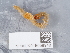  ( - NHMUK015059948)  @11 [ ] Unspecified (default): All Rights Reserved  Unspecified Unspecified