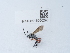  ( - NHMUK015060290)  @11 [ ] Unspecified (default): All Rights Reserved  Unspecified Unspecified