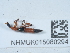  ( - NHMUK015060294)  @11 [ ] Unspecified (default): All Rights Reserved  Unspecified Unspecified