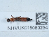  ( - NHMUK015060294)  @11 [ ] Unspecified (default): All Rights Reserved  Unspecified Unspecified
