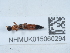  ( - NHMUK015060294)  @11 [ ] Unspecified (default): All Rights Reserved  Unspecified Unspecified