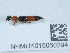  ( - NHMUK015060294)  @11 [ ] Unspecified (default): All Rights Reserved  Unspecified Unspecified