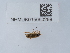  ( - NHMUK015060298)  @11 [ ] Unspecified (default): All Rights Reserved  Unspecified Unspecified