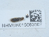  ( - NHMUK015060307)  @11 [ ] Unspecified (default): All Rights Reserved  Unspecified Unspecified