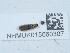 ( - NHMUK015060307)  @11 [ ] Unspecified (default): All Rights Reserved  Unspecified Unspecified