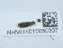  ( - NHMUK015060307)  @11 [ ] Unspecified (default): All Rights Reserved  Unspecified Unspecified