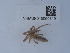  ( - NHMUK015060319)  @11 [ ] Unspecified (default): All Rights Reserved  Unspecified Unspecified