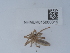  ( - NHMUK015060319)  @11 [ ] Unspecified (default): All Rights Reserved  Unspecified Unspecified