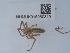  ( - NHMUK015060319)  @11 [ ] Unspecified (default): All Rights Reserved  Unspecified Unspecified