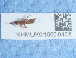  ( - NHMUK015060451)  @11 [ ] Unspecified (default): All Rights Reserved  Unspecified Unspecified