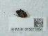  ( - NHMUK015073204)  @11 [ ] Unspecified (default): All Rights Reserved  Unspecified Unspecified