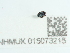  ( - NHMUK015073215)  @11 [ ] Unspecified (default): All Rights Reserved  Unspecified Unspecified