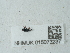  ( - NHMUK015073237)  @11 [ ] Unspecified (default): All Rights Reserved  Unspecified Unspecified