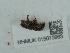  ( - NHMUK015073963)  @11 [ ] Unspecified (default): All Rights Reserved  Unspecified Unspecified