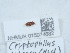  ( - NHMUK015074682)  @11 [ ] Unspecified (default): All Rights Reserved  Unspecified Unspecified