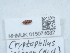 ( - NHMUK015074682)  @11 [ ] Unspecified (default): All Rights Reserved  Unspecified Unspecified