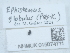  ( - NHMUK015074711)  @11 [ ] Unspecified (default): All Rights Reserved  Unspecified Unspecified