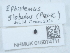  ( - NHMUK015074711)  @11 [ ] Unspecified (default): All Rights Reserved  Unspecified Unspecified