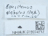  ( - NHMUK015074712)  @11 [ ] Unspecified (default): All Rights Reserved  Unspecified Unspecified