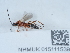  ( - NHMUK015111539)  @11 [ ] Unspecified (default): All Rights Reserved  Unspecified Unspecified
