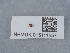  ( - NHMUK015111557)  @11 [ ] Unspecified (default): All Rights Reserved  Unspecified Unspecified